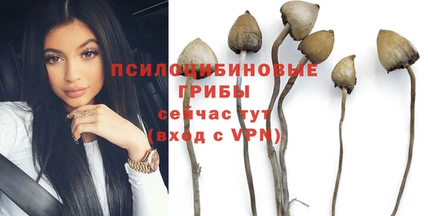 трава Алзамай