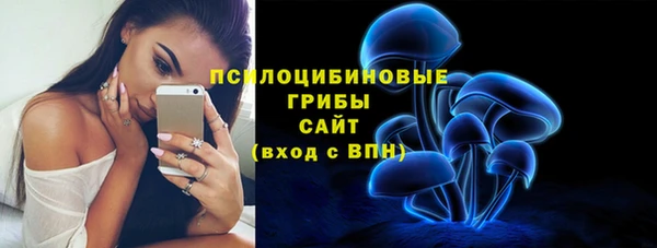 трава Алзамай